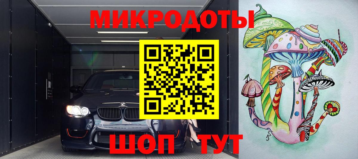 Псилоцибиновые грибы Psilocybe  Вход с VPN  Луга 