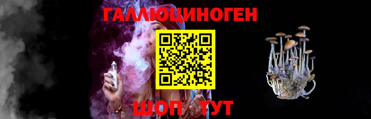 Псилоцибиновые грибы Psilocybe Луга
